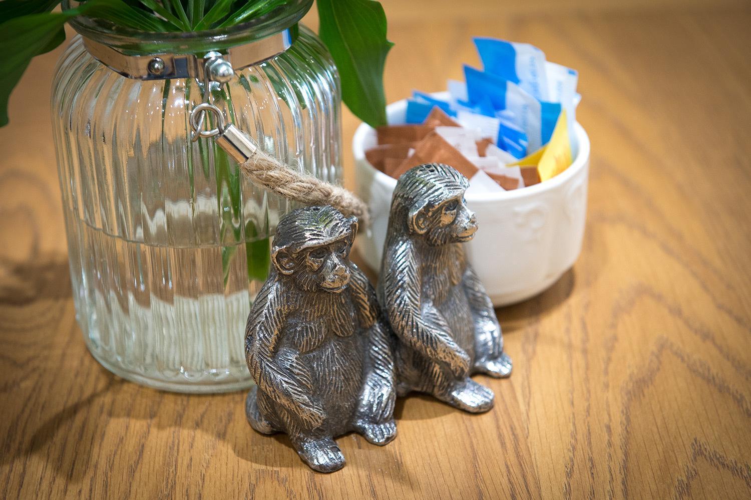 Bed and Breakfast Darwin'S Townhouse Шрусбери Экстерьер фото Silver monkey salt and pepper shakers