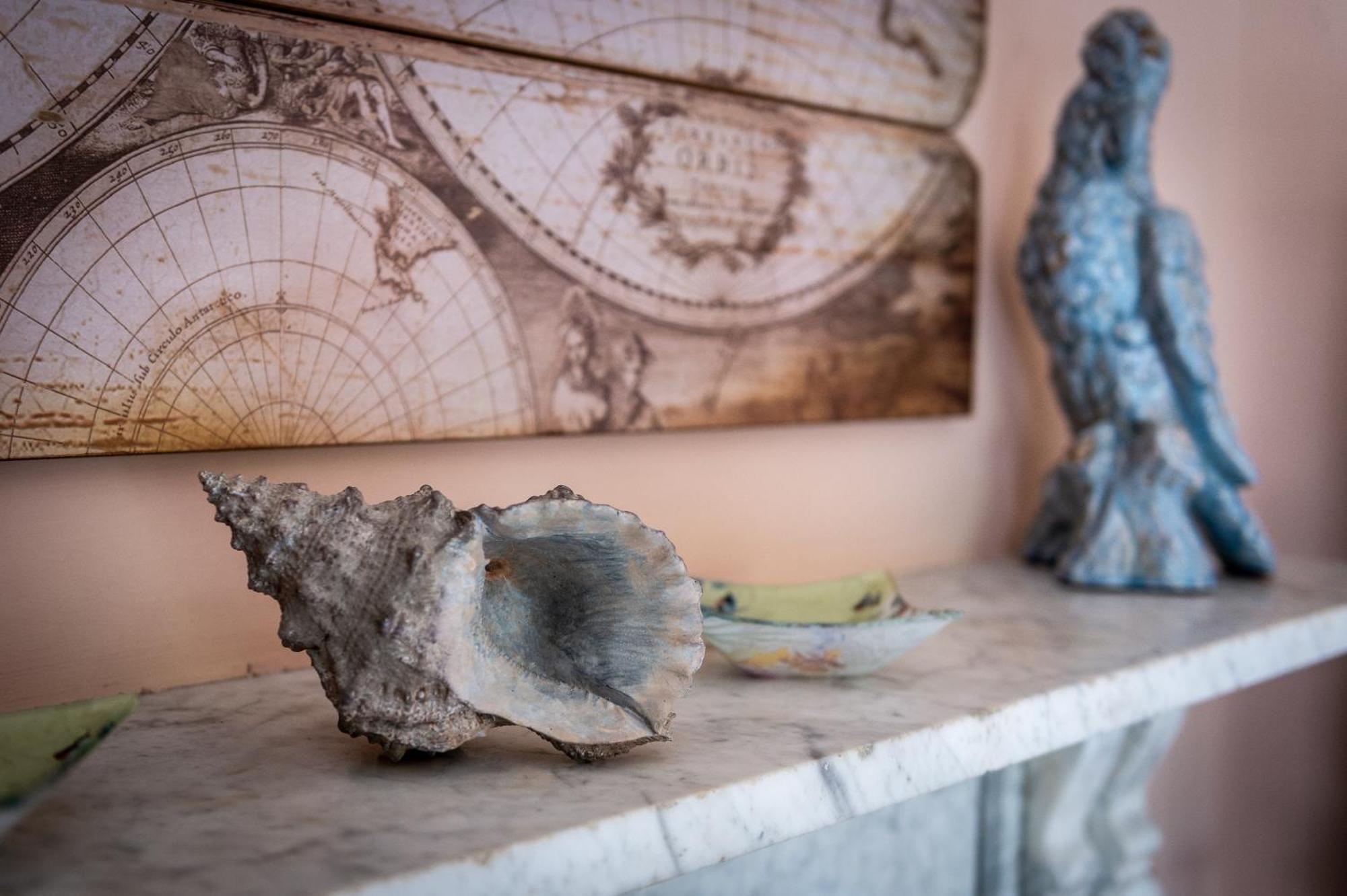 Bed and Breakfast Darwin'S Townhouse Шрусбери Номер фото A conch shell